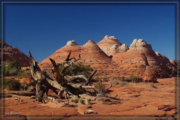 Coyote Buttes North
