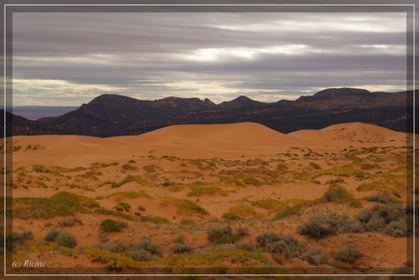 Coral Pink Sand Dunes
