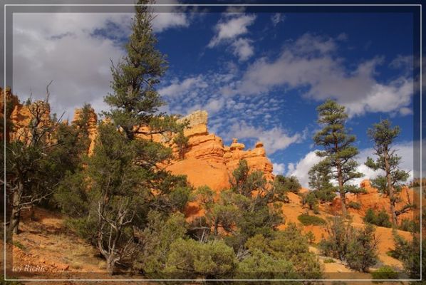 Red Canyon

