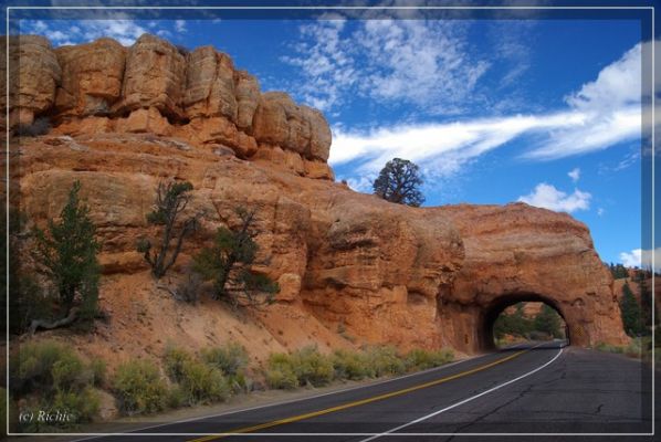 Red Canyon
