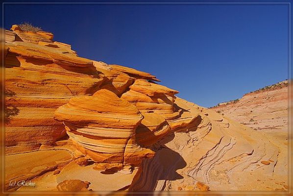 Big Horn Canyon
