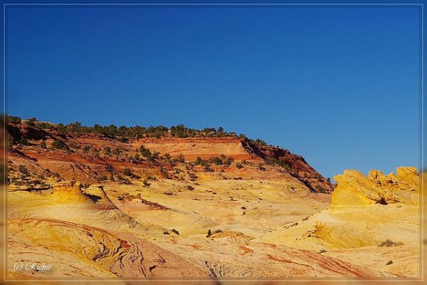 Big Horn Canyon
