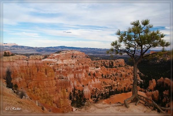 Bryce Canyon National Park

