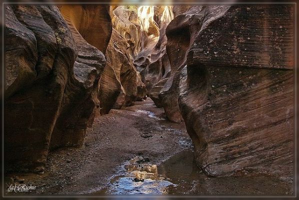 Willis Creek
