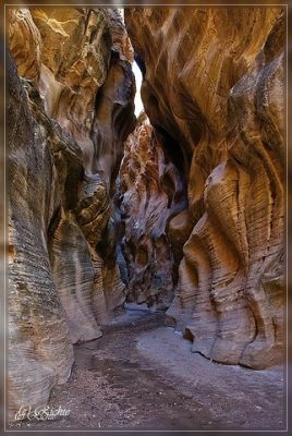Willis Creek
