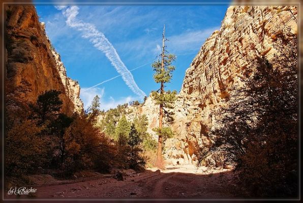 Willis Creek

