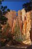 Bryce Canyon