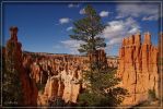 Bryce Canyon