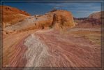 South of Parking Lot #3 - Colors