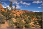 Red Canyon