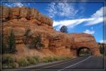 Red Canyon