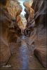Willis Creek