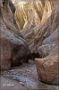 Willis Creek