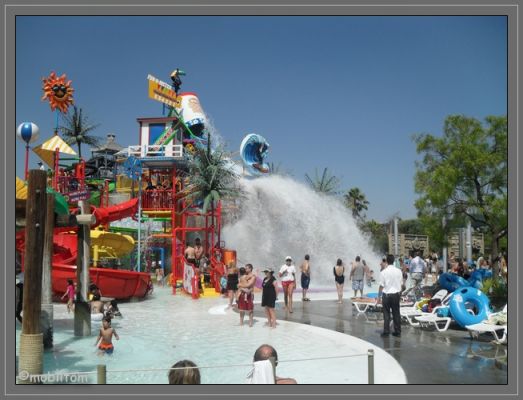 comp_SDC10551.jpg