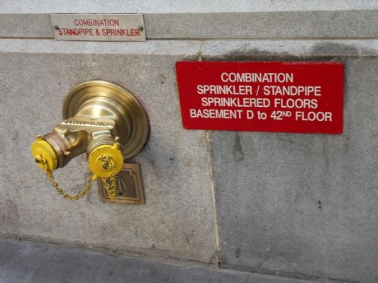 SDC10910.JPG