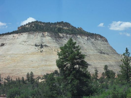 SDC15389.JPG
