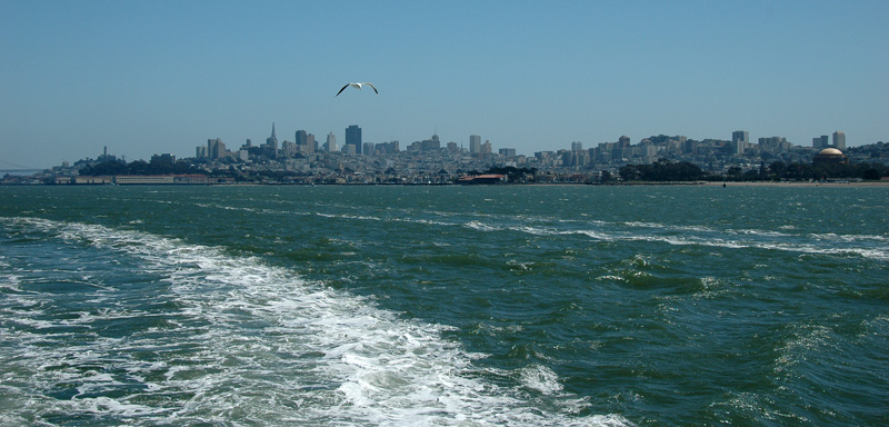 DSC_2946.jpg
