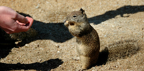 DSC_3379.jpg