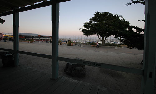 DSC_3454.jpg