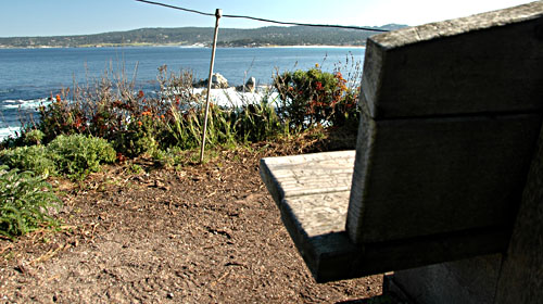 DSC_3506.jpg