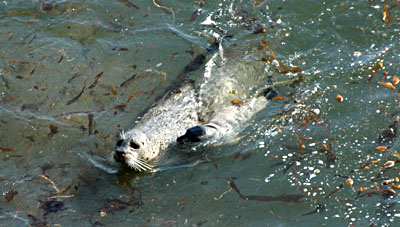 DSC_3524.jpg