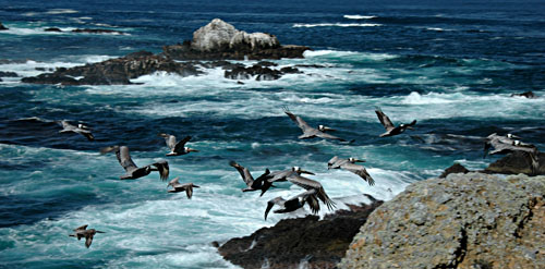 DSC_3615.jpg