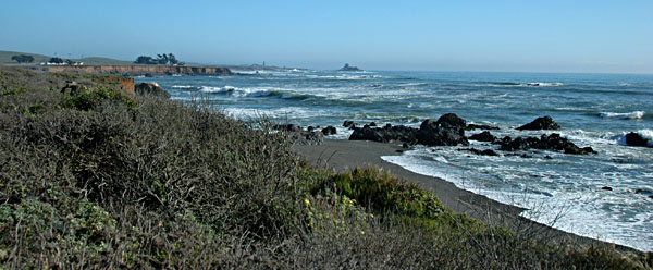 DSC_3736.jpg