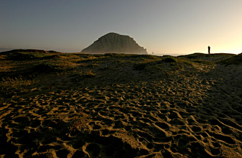 DSC_3797.jpg