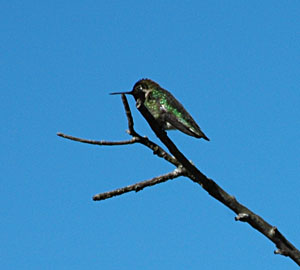 DSC_3903.jpg