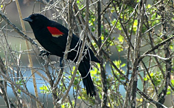 DSC_3912.jpg