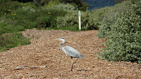 DSC_3933.jpg