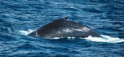 DSC_3985.jpg