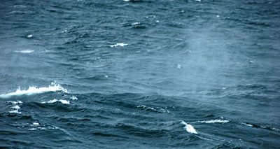 DSC_4023.jpg