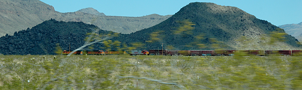 DSC_4931.jpg