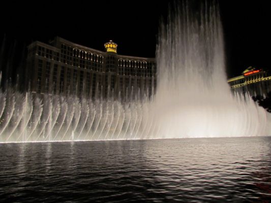 IMG_3690.jpg