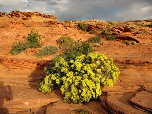 comp_02_monument_valley_397.jpg