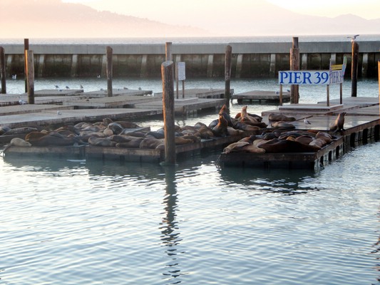 comp_San_Francisco_1_092.jpg