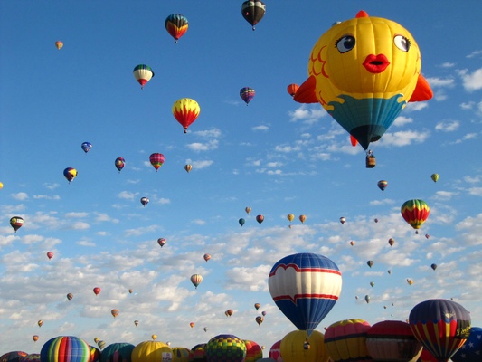 comp_albuquerque_071.jpg