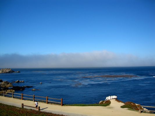 IMG_0531.JPG
