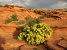 comp_02_monument_valley_397.jpg