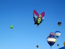comp_IMG_0144.jpg