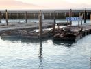 comp_San_Francisco_1_092.jpg