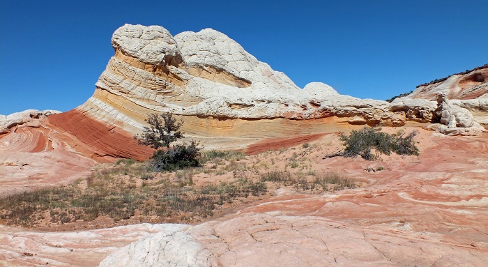 DSCF4311.JPG
