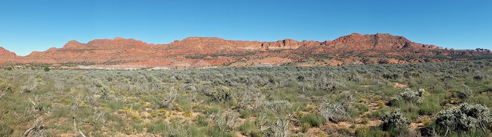 DSCF4325.JPG