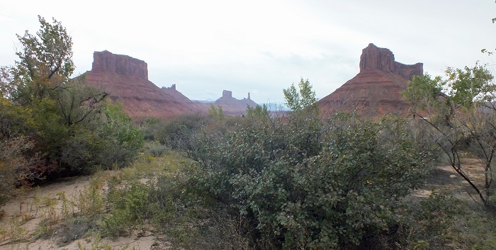 DSCF4529.JPG