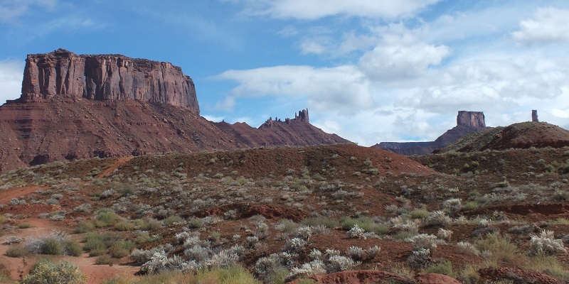 DSCF4621.JPG