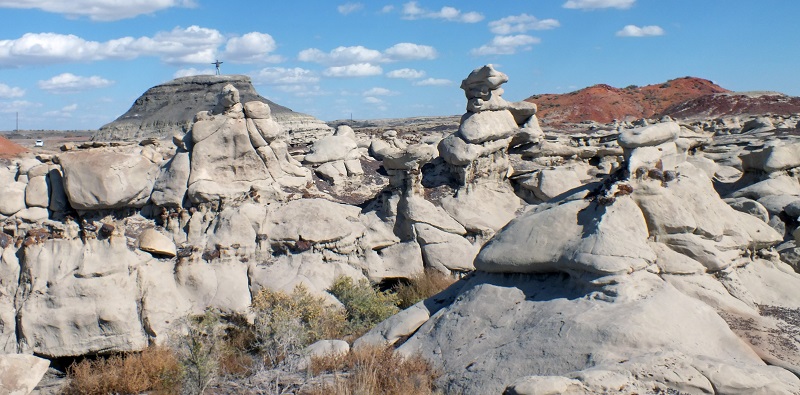 DSCF5072.JPG