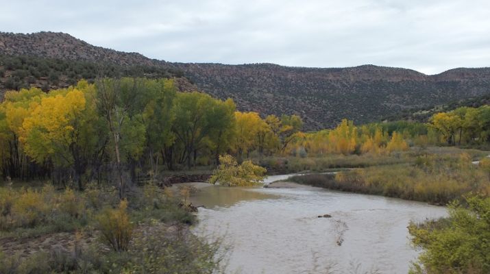DSCF4671.JPG
