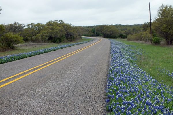 DSCF8099.JPG