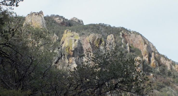 DSCF8249.JPG